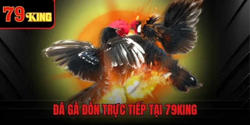 Đá gà đòn trực tiếp - Trải nghiệm nhịp đấu chuẩn quốc tế