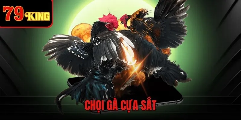 Hình thức đấu cựa sắt